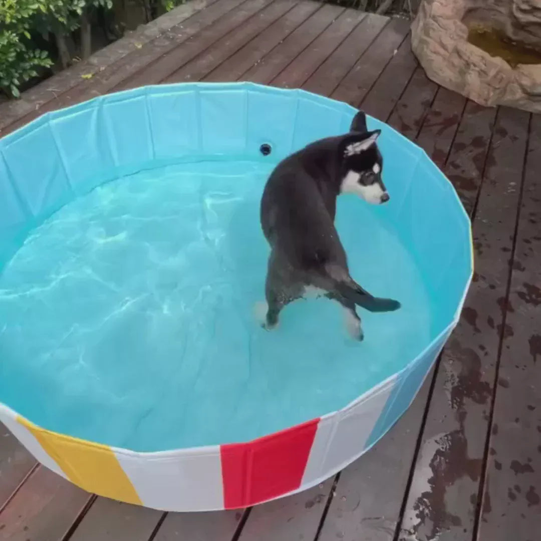Charlie’s – Portable Pet Pool – Beach Ball