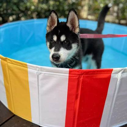 Charlie’s – Portable Pet Pool – Beach Ball